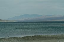 Bonelli Landing