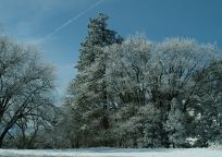 Snow on Breckenridge Road