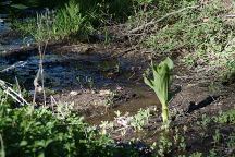 Creek at Breckenridge Campground