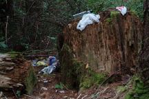 Garbage at camp area near Road#1917