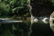 South Fork Chetco River