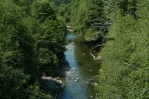 South Fork Chetco River