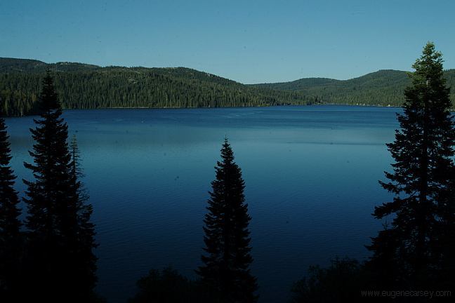 PLUMAS NATIONAL FOREST