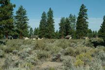 Guard Houses near Cabin Lake Campground