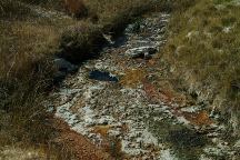 Creek at The Hot Springs