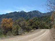 Pinery Canyon Road