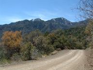 Pinery Canyon Road