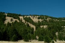 Hillside