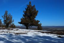 Green Mountain Campground