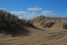 Christmas Valley Sand Dunes