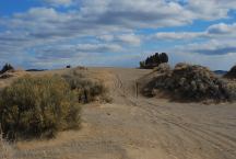 Christmas Valley Sand Dunes