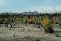 Wildfire damage at Cibola NWR