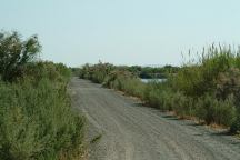 Road Along the Colorado River