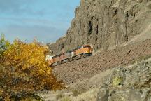 Train and railroad tracks