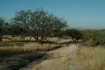 Road towards the first camp area