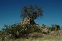 West Cochise Stronghold