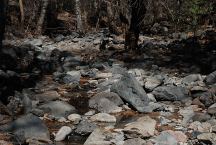 Creek