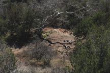 Dispersed Camp Area on Fossil Creek Road