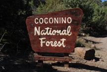 Coconino National Forest