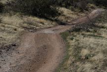 Road 500