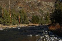 Poison Butte Campground