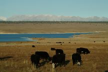 Crowley Lake South View