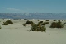 Dunes near Saline Valley Warm Springs