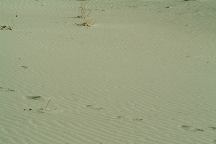 Dunes near Saline Valley Warm Springs