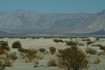 Saline Valley Warm Springs Sand Dunes