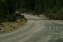 Road at China Hat Campground