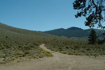 Road from dispersed campsite