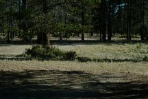 Sand Springs Campground