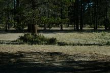 Sand Springs Campground