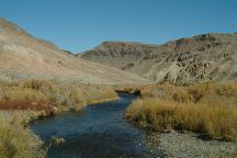 East Walker River