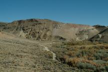 East Walker River