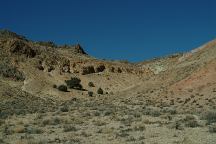 East Walker River Landscapes