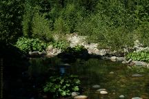 River View from Cosumnes Campground