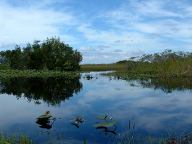 Everglades National Park