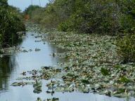 Everglades National Park