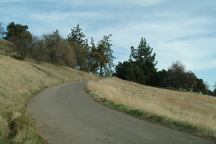 Figueroa Mountain Recreation Area