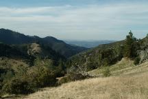 Figueroa Mountain Recreation Area