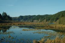 Fiddle Creek towards Ada Station