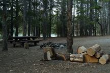 Campbell Lake Campsite