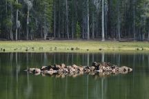 Campbell Lake