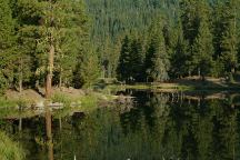Cottonwood Meadow Lake Campground