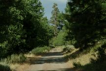 Road towards Deep Creek Forest Camp