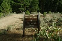 Dismal Creek Forest Camp