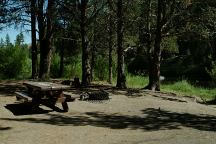 Jones Forest Camp