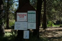 Jones Forest Camp