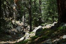 Tent Campsite at Mud Creek Campground